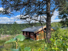 Måsåplassen Friisvegen Mountain Lodge